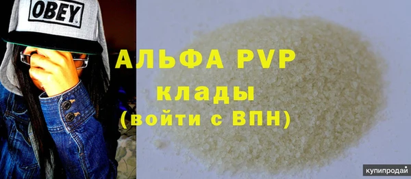 шишки Арсеньев