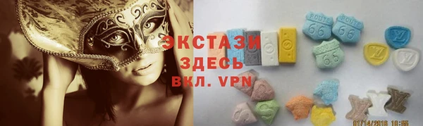 шишки Арсеньев