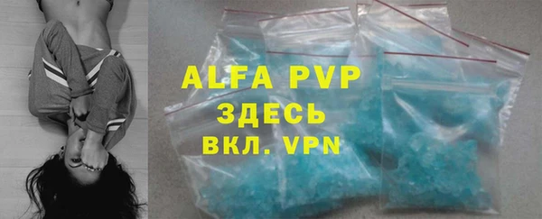 шишки Арсеньев